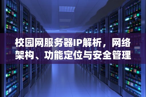 校园网服务器IP解析，网络架构、功能定位与安全管理，校园网中的服务器ip是什么意思