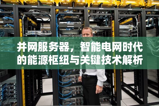 并网服务器，智能电网时代的能源枢纽与关键技术解析，并网服务器是什么意思