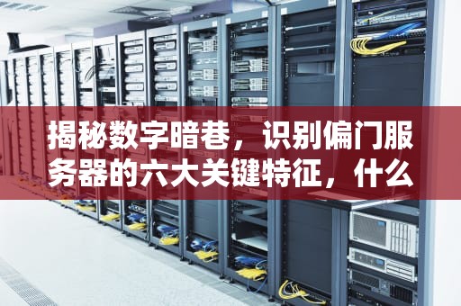 揭秘数字暗巷，识别偏门服务器的六大关键特征，什么是偏门服务器的标志图片