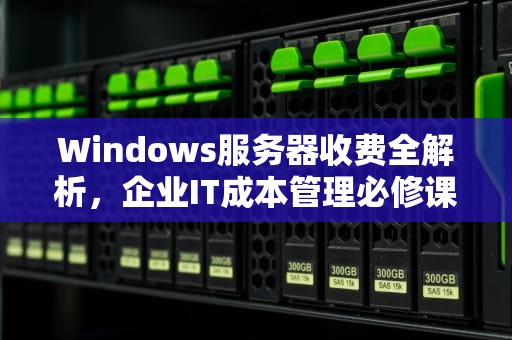 Windows服务器收费全解析，企业IT成本管理必修课，window服务器有哪些