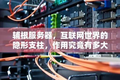 辅根服务器，互联网世界的隐形支柱，作用究竟有多大？辅根服务器作用大吗