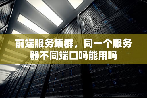 前端服务集群，同一个服务器不同端口吗能用吗