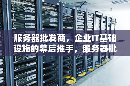 服务器批发商，企业IT基础设施的幕后推手，服务器批发商是什么意思啊