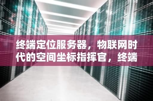 终端定位服务器，物联网时代的空间坐标指挥官，终端定位服务器是什么意思