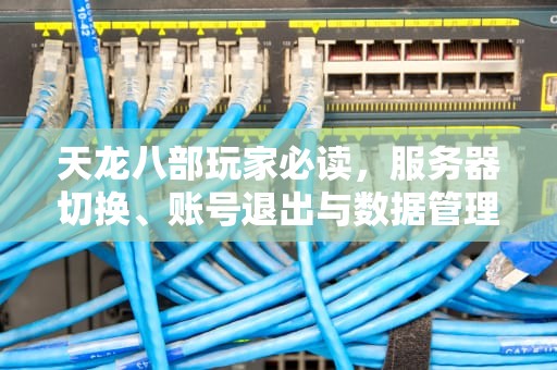 天龙八部玩家必读，服务器切换、账号退出与数据管理完全指南，天龙八部怎么退出服务器模式