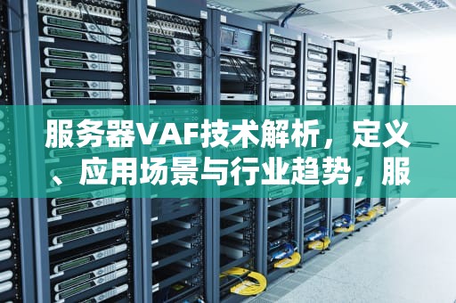 服务器VAF技术解析，定义、应用场景与行业趋势，服务器var是什么意思