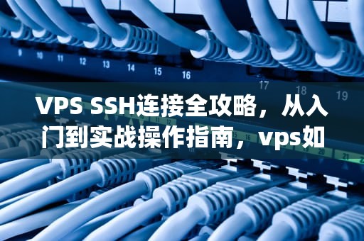 VPS SSH连接全攻略，从入门到实战操作指南，vps如何连接