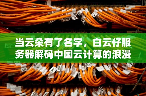 当云朵有了名字，白云仔服务器解码中国云计算的浪漫突围，白云仔是属于哪里