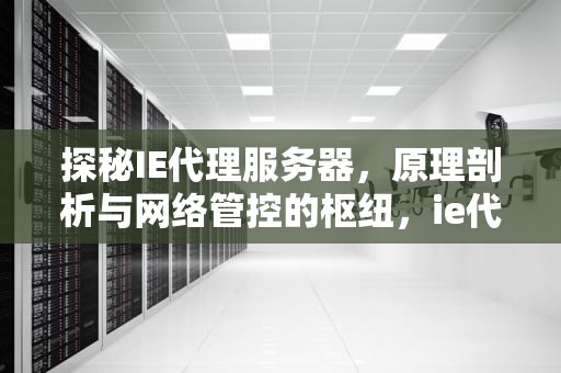 探秘IE代理服务器，原理剖析与网络管控的枢纽，ie代理服务器的原理是什么意思
