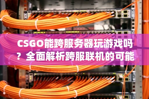 CSGO能跨服务器玩游戏吗？全面解析跨服联机的可能性与实战技巧，csgo能跨服务器玩游戏吗手游