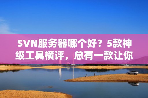 SVN服务器哪个好？5款神级工具横评，总有一款让你直呼真香！