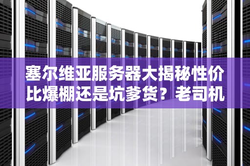 塞尔维亚服务器大揭秘性价比爆棚还是坑爹货？老司机带你避雷捡漏！