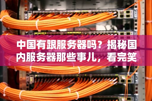 中国有跟服务器吗？揭秘国内服务器那些事儿，看完笑出腹肌！