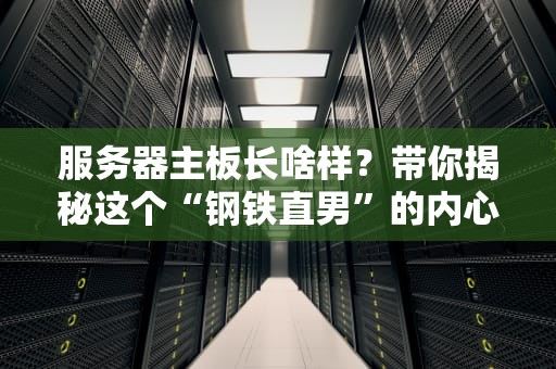 服务器主板长啥样？带你揭秘这个“钢铁直男”的内心世界！
