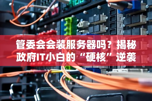管委会会装服务器吗？揭秘政府IT小白的“硬核”逆袭之路！