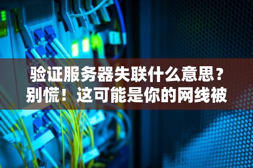 验证服务器失联什么意思？别慌！这可能是你的网线被猫啃了（附解决方案）