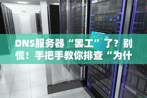 DNS服务器“罢工”了？别慌！手把手教你排查“为什么会出现DNS服务器不可用”