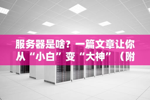 服务器是啥？一篇文章让你从“小白”变“大神”（附超萌比喻）