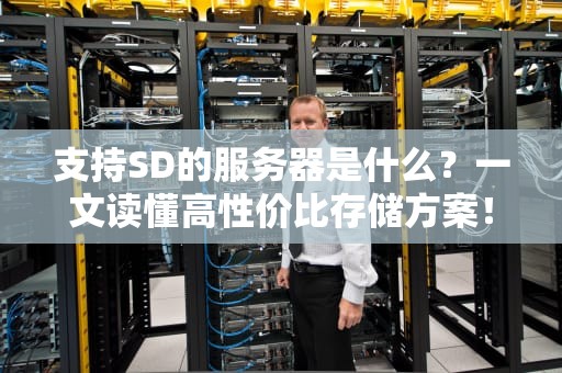 支持SD的服务器是什么？一文读懂高性价比存储方案！
