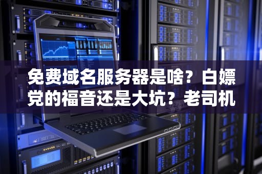 免费域名服务器是啥？白嫖党的福音还是大坑？老司机带你避雷！