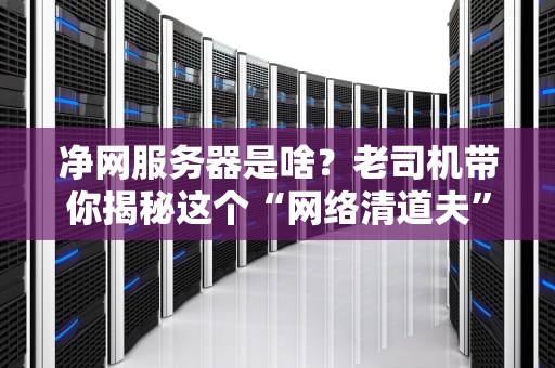 净网服务器是啥？老司机带你揭秘这个“网络清道夫”！