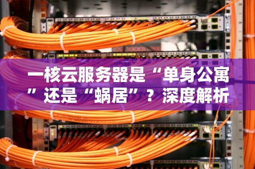 一核云服务器是“单身公寓”还是“蜗居”？深度解析CPU核心数的秘密！
