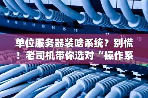 单位服务器装啥系统？别慌！老司机带你选对“操作系统驾照”