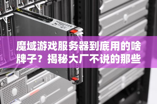魔域游戏服务器到底用的啥牌子？揭秘大厂不说的那些事儿！