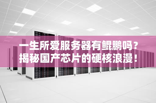 一生所爱服务器有鲲鹏吗？揭秘国产芯片的硬核浪漫！