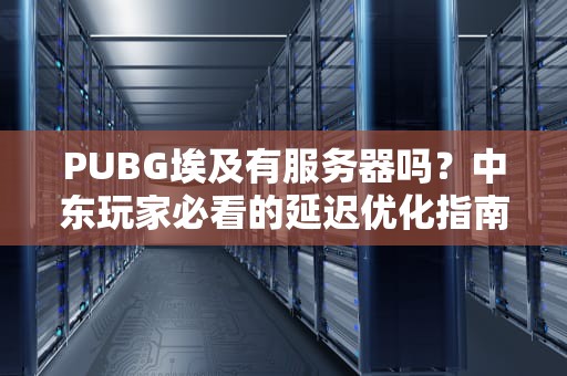 PUBG埃及有服务器吗？中东玩家必看的延迟优化指南！