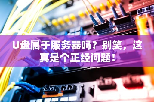 U盘属于服务器吗？别笑，这真是个正经问题！