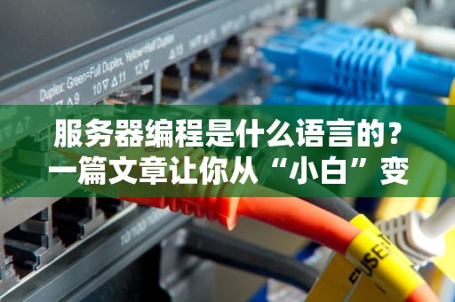 服务器编程是什么语言的？一篇文章让你从“小白”变“懂王”！