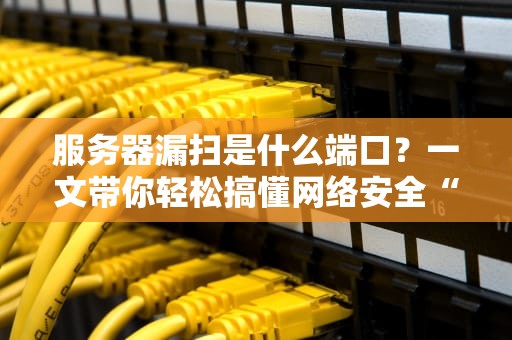 服务器漏扫是什么端口？一文带你轻松搞懂网络安全“体检报告”