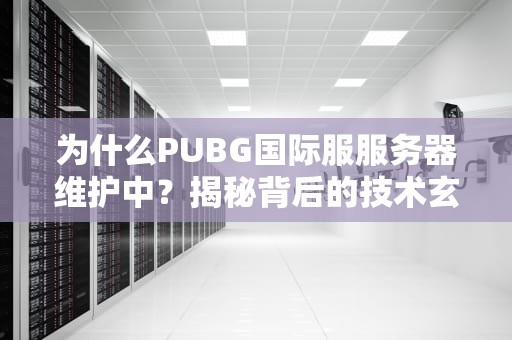 为什么PUBG国际服服务器维护中？揭秘背后的技术玄机与玩家生存指南