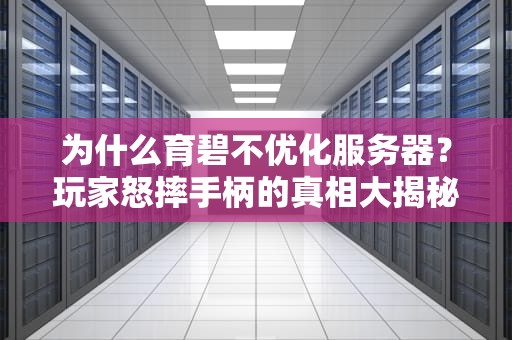 为什么育碧不优化服务器？玩家怒摔手柄的真相大揭秘！