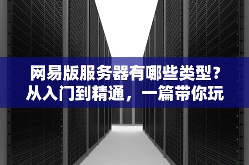 网易版服务器有哪些类型？从入门到精通，一篇带你玩转云上世界！