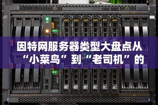 因特网服务器类型大盘点从“小菜鸟”到“老司机”的进阶指南