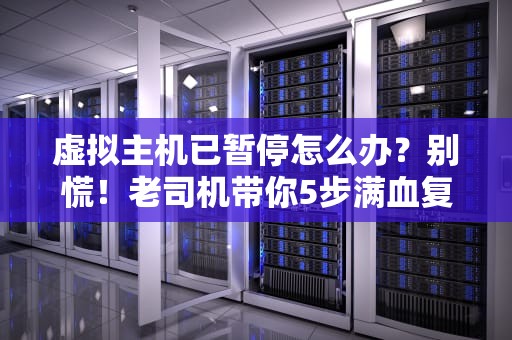虚拟主机已暂停怎么办？别慌！老司机带你5步满血复活