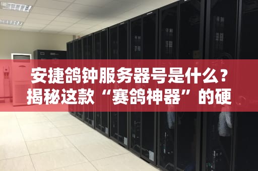 安捷鸽钟服务器号是什么？揭秘这款“赛鸽神器”的硬核实力！
