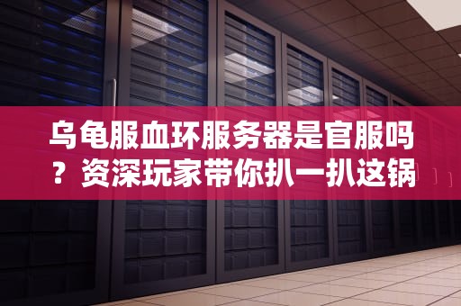 乌龟服血环服务器是官服吗？资深玩家带你扒一扒这锅“野生王八汤”