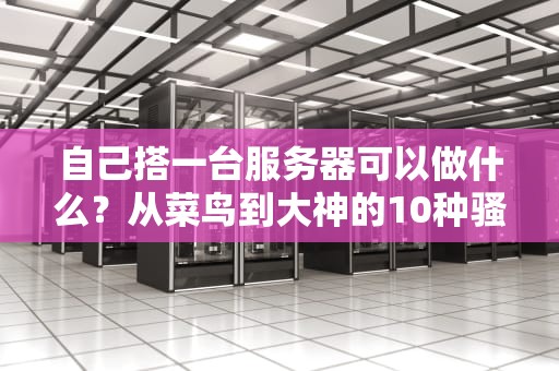 自己搭一台服务器可以做什么？从菜鸟到大神的10种骚操作！