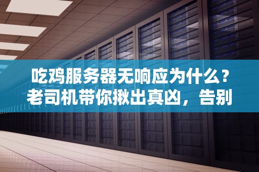 吃鸡服务器无响应为什么？老司机带你揪出真凶，告别卡成PPT！