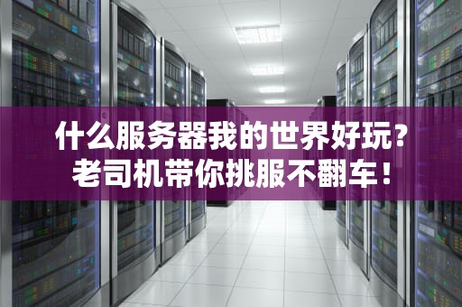 什么服务器我的世界好玩？老司机带你挑服不翻车！