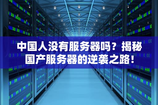 中国人没有服务器吗？揭秘国产服务器的逆袭之路！