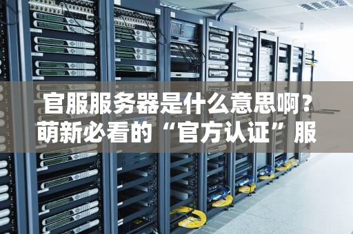 官服服务器是什么意思啊？萌新必看的“官方认证”服务器科普指南！