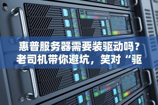 惠普服务器需要装驱动吗？老司机带你避坑，笑对“驱动人生”
