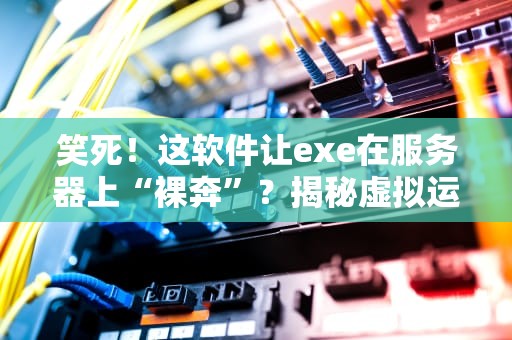 笑死！这软件让exe在服务器上“裸奔”？揭秘虚拟运行的神器