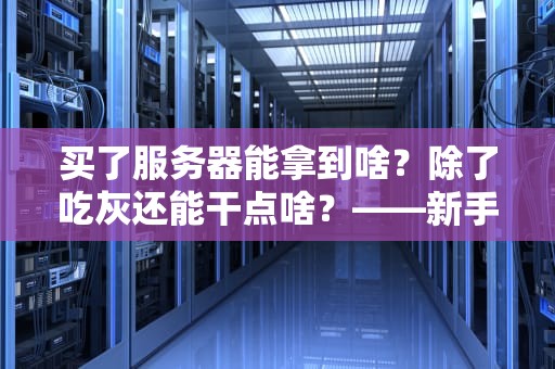 买了服务器能拿到啥？除了吃灰还能干点啥？——新手必看的服务器“开箱”指南