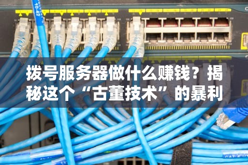 拨号服务器做什么赚钱？揭秘这个“古董技术”的暴利玩法！