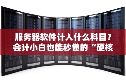 服务器软件计入什么科目？会计小白也能秒懂的“硬核”科普！
